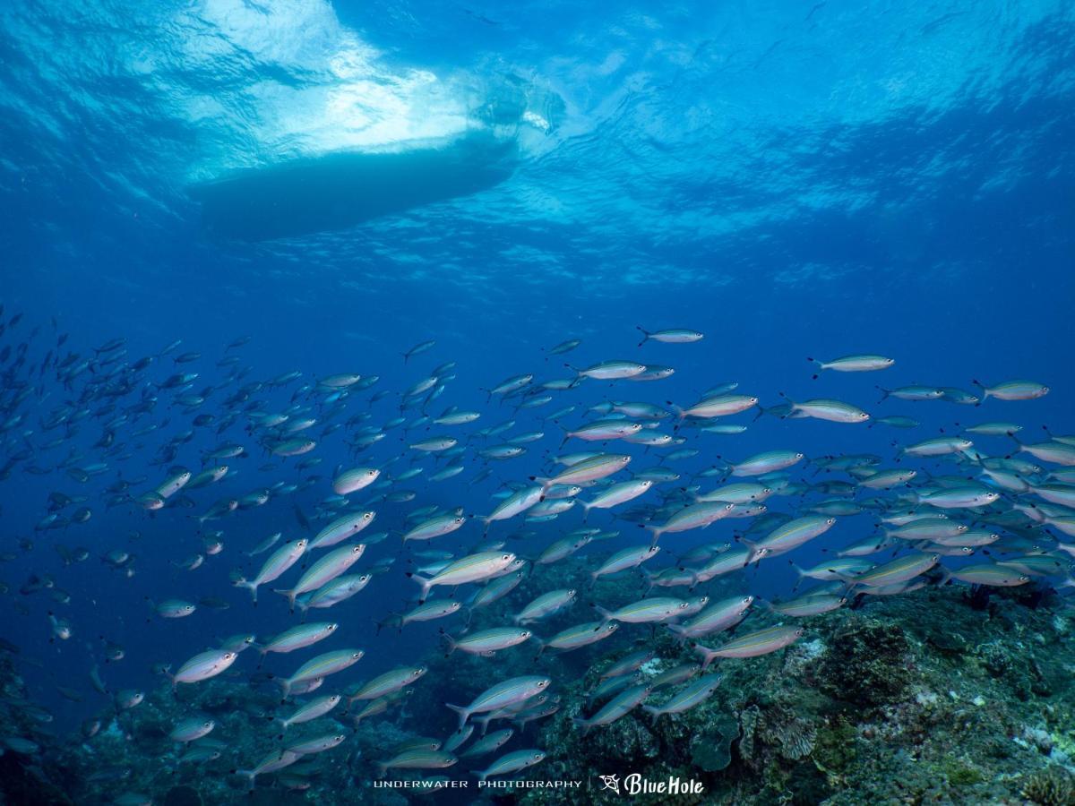 藍洞潛水blue Hole Dive Center Bed & Breakfast ย่านเมืองเก่าเฮ้งชุน ภายนอก รูปภาพ